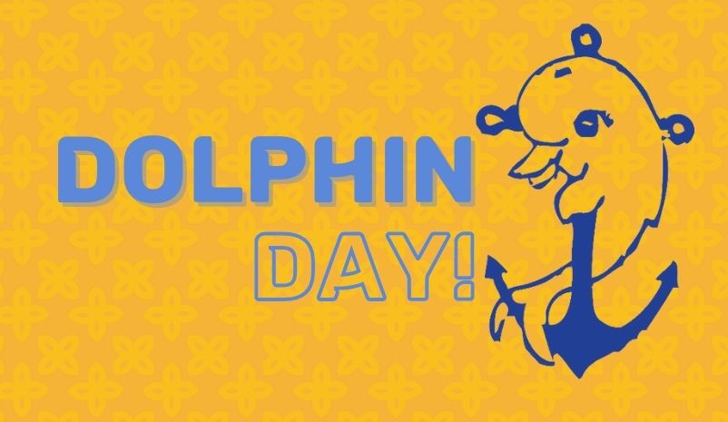 Dolphin Day - Sunday