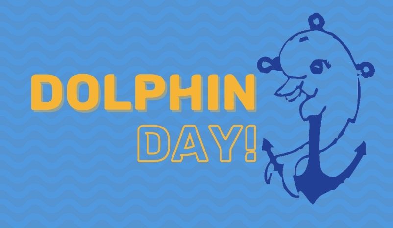Dolphin Day - Saturday